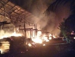 Kebakaran Kandang Ayam di Karangasem Puluhan Ribu Ayam Hangus, Kerugian Capai Miliaran Rupiah