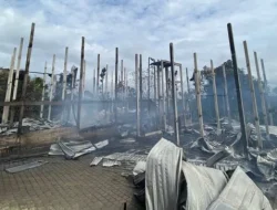 Kebakaran Kandang Ayam di Bali Berulang,Kerugian Capai Rp 3,3 Miliar