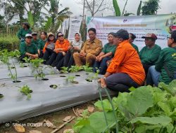 Bali Kembangkan Agrowisata Rosella Organik Kolaborasi Dinas Pertanian Tabanan dan Universitas Warmadewa